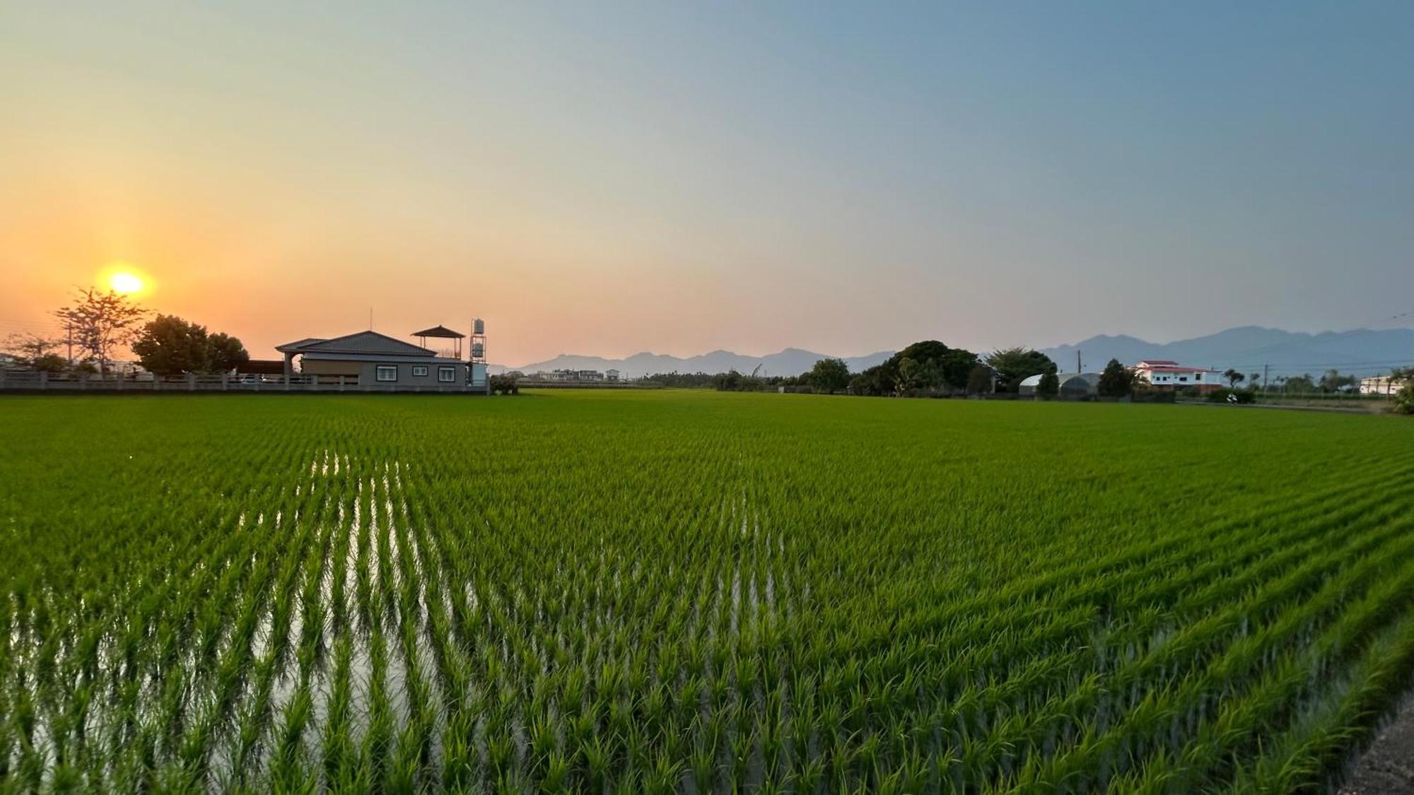 Mei Nong Villa Mei-nung Dış mekan fotoğraf
