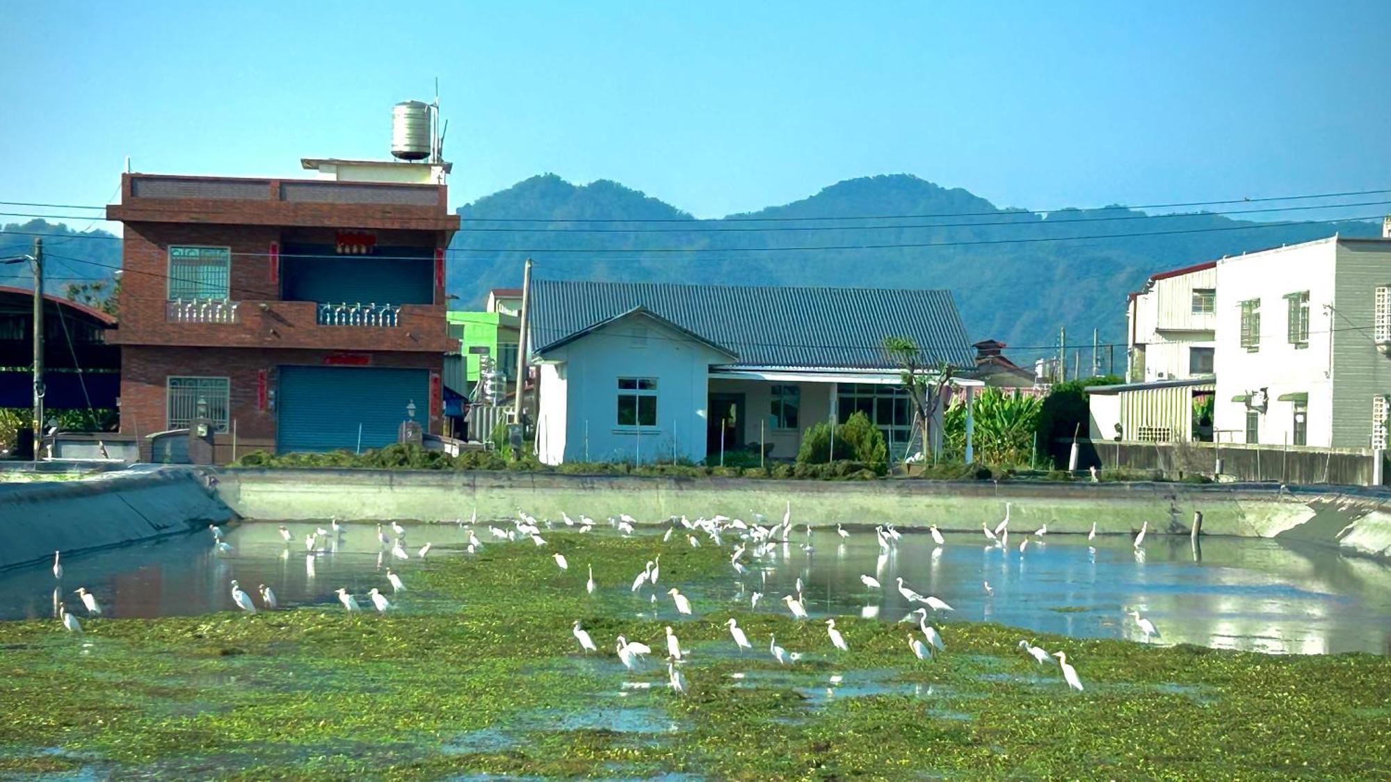 Mei Nong Villa Mei-nung Dış mekan fotoğraf